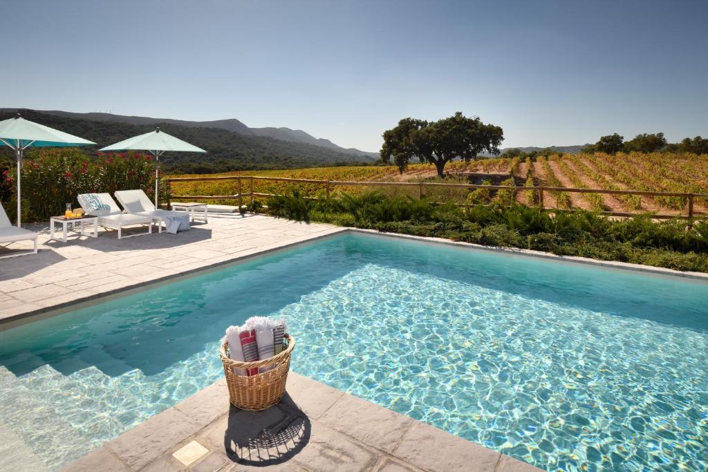 Piscina do Hotel Casa Palmela com vista direta para o campo e a serra, com espreguiçadeiras e guarda-sóis brancos