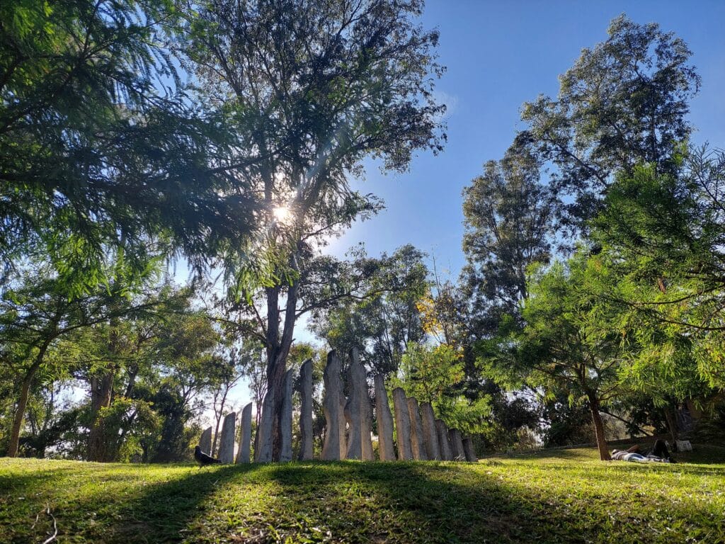 Belo parque com vegetação exuberante, iluminado pelos raios de sol, com esculturas imponentes no meio da relva verde; trata-se do Bosque Colomos.