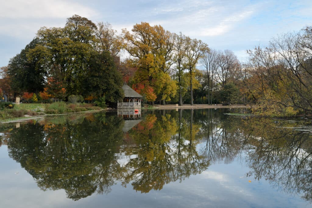 Lago sereno no Prospect Park a refletir a paisagem, rodeado de árvores com cores de outono.