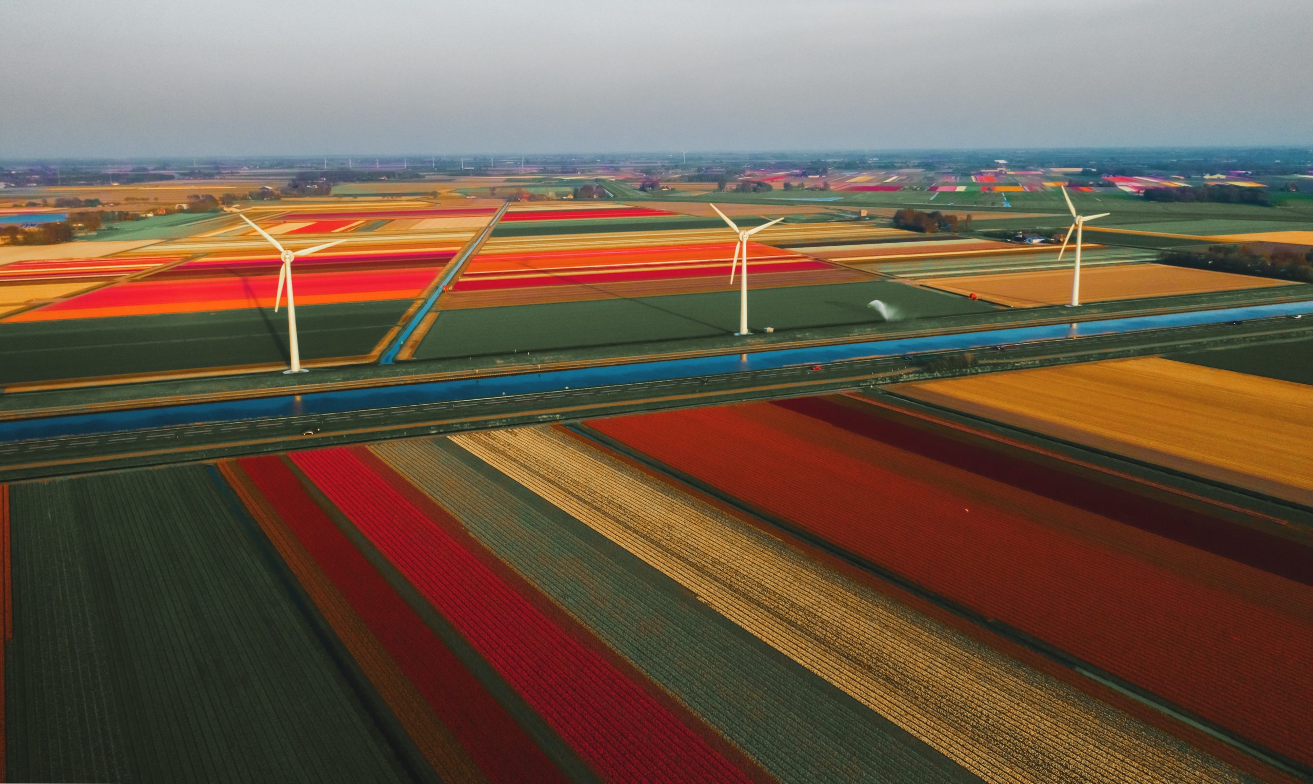 Holanda: guia de viagem e principais destinos