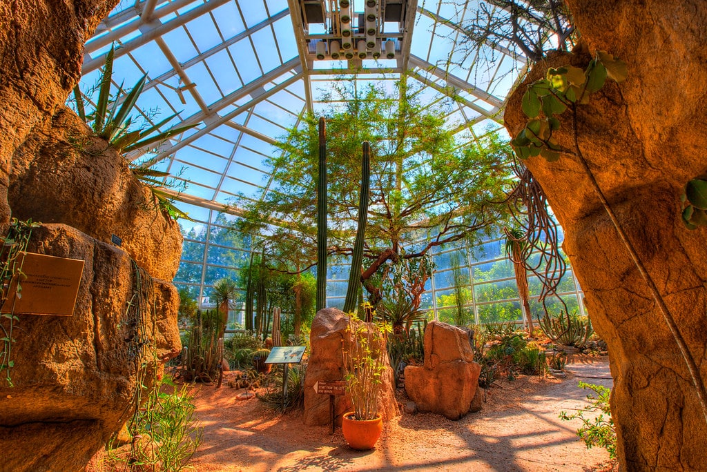 Interior de estufa do Brooklyn Botanic Garden, com teto de vidro, formações rochosas e vários tipos de plantas e suculentas.