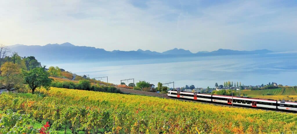 Um comboio passa por uma vinha de Lavaux com um lago e montanhas ao fundo, sob um céu limpo. Representa como viajar de comboio pela Suíça.