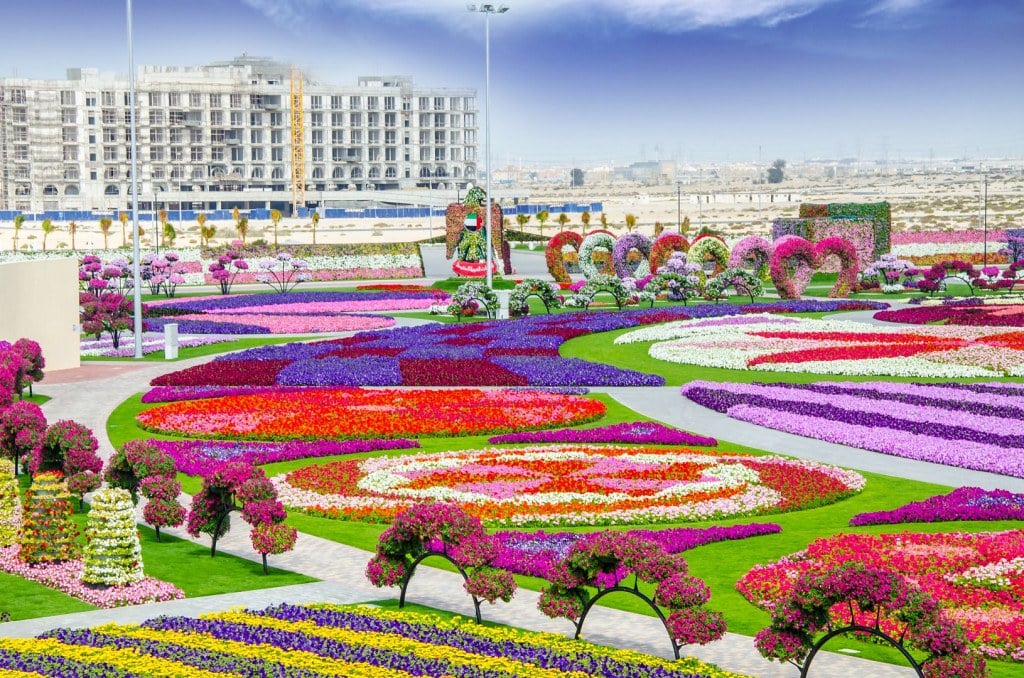 Um grande e colorido jardim de flores no Dubai Miracle Garden, com padrões intrincados e um edifício ao fundo.