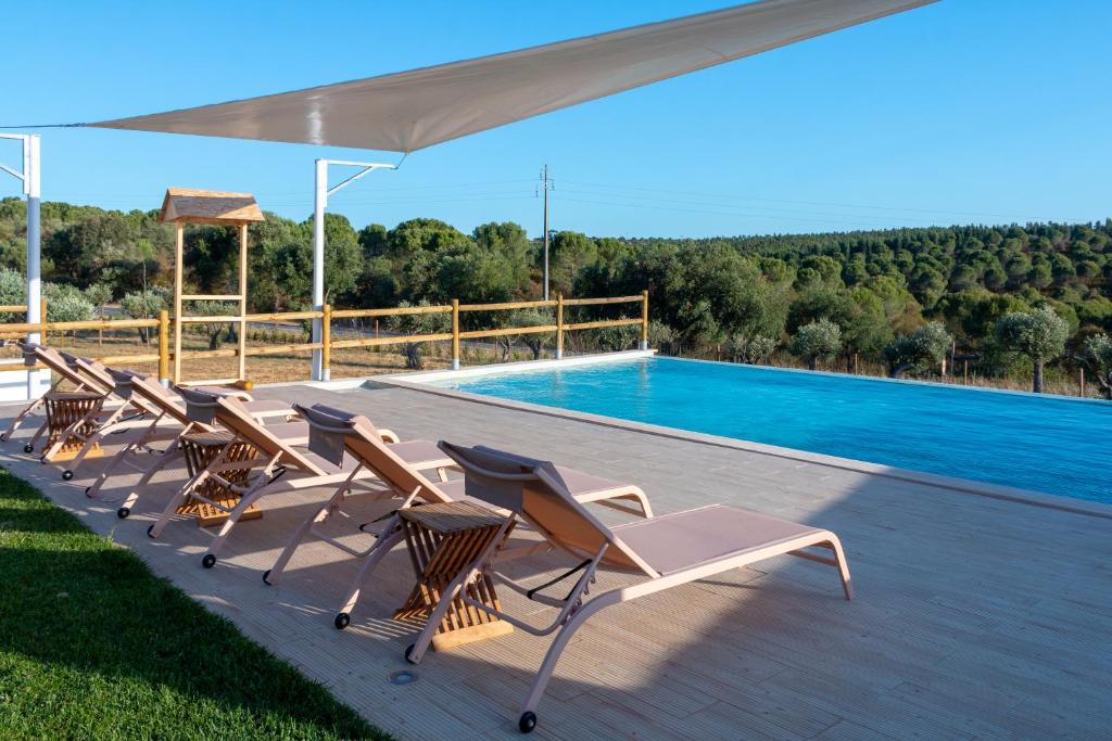 Piscina de borda infinita com espreguiçadeiras no Reflexos D'Alma Turismo Rural, em Estremoz
