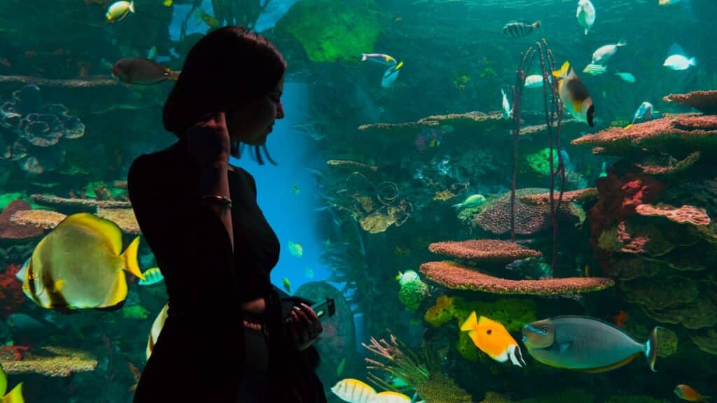 Pessoa de costas a observar o aquário marinho Ripley's Aquarium of Canada, com vários peixes coloridos a nadar entre corais