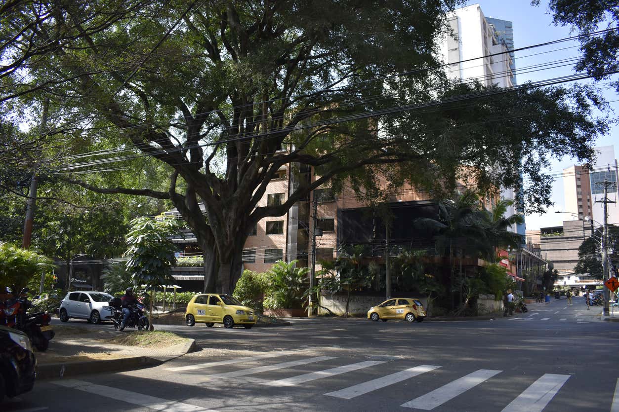 Ruas de Laureles com táxis amarelos, motociclos, árvores grandes e edifícios ao fundo sob um céu limpo.