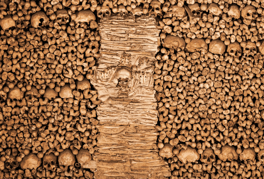 Capela dos Ossos: parede decorada com ossos e crânios humanos em padrão artístico macabro. Ilustra este artigo sobre o que fazer em Évora.