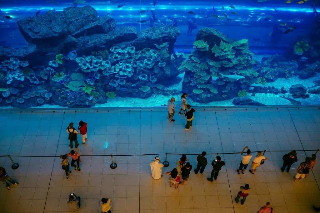 Pessoas em frente a um grande aquário com formações de coral e peixes, no Dubai Aquarium, dentro do Dubai Mall.