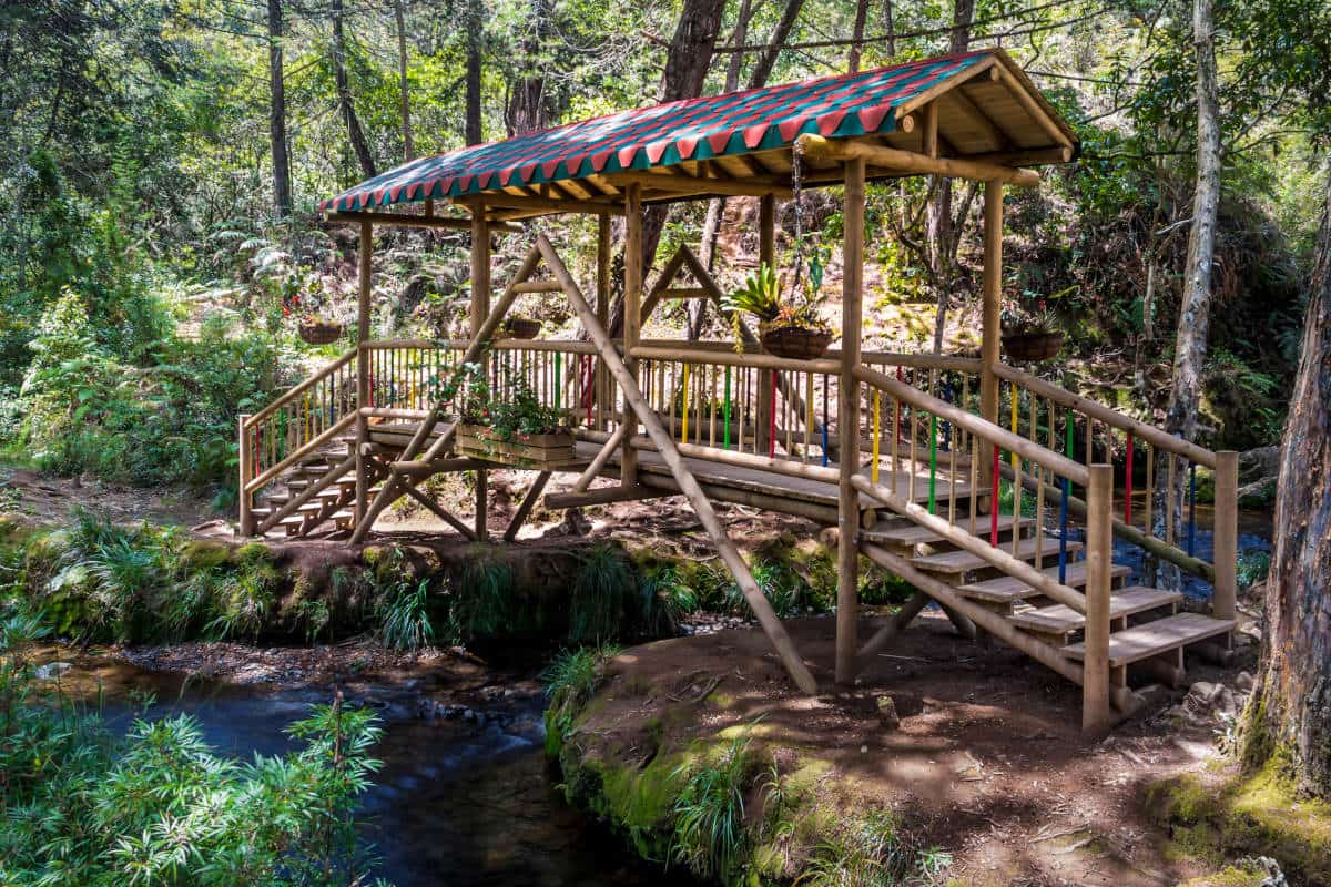 Ponte de madeira coberta por um telhado colorido sobre um pequeno ribeiro, rodeada de vegetação densa no Parque Arví.