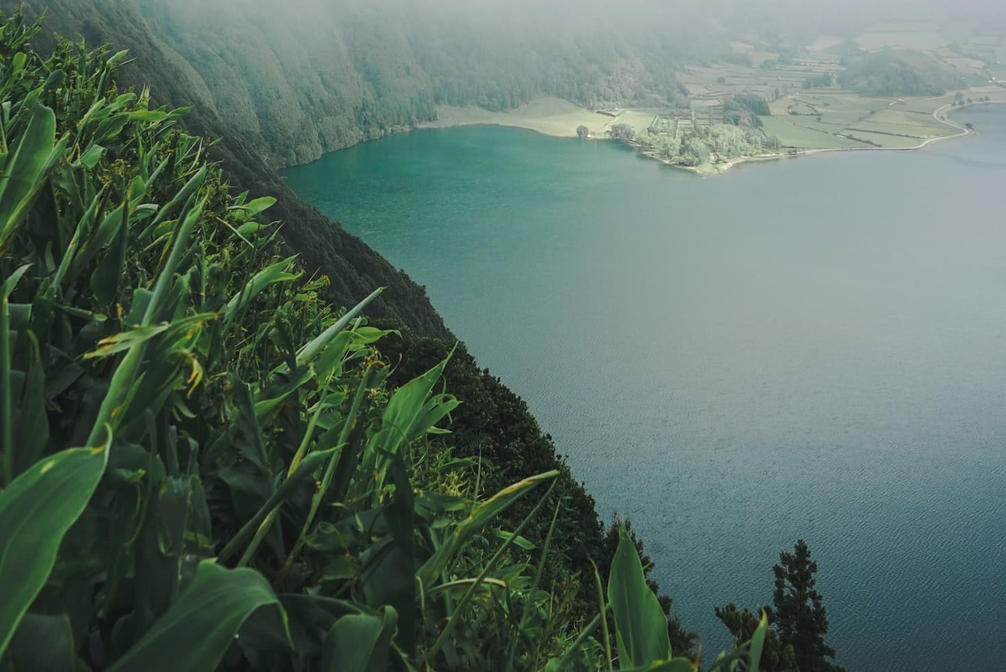 Plantas verdes com vista para um lago azul rodeado de colinas e um céu enevoado ao fundo, na Ilha de São Miguel, nos Açores.
