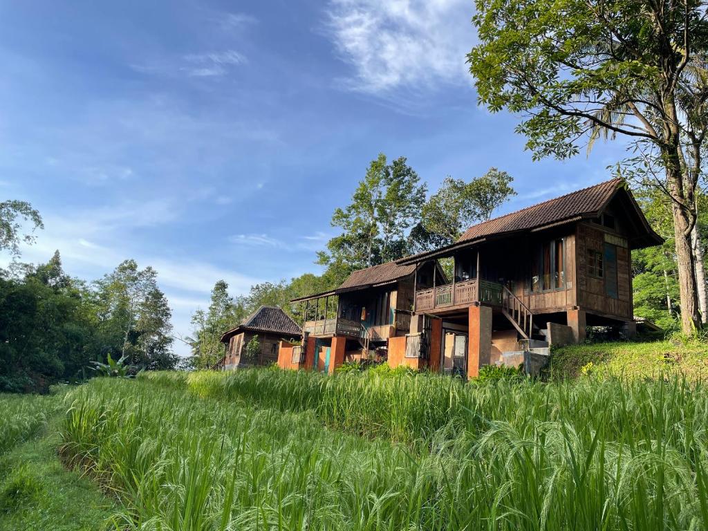 Casas de madeira sobre estacas rodeadas de vegetação exuberante sob céu azul, num alojamento em Bali.