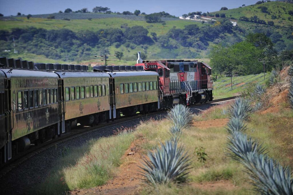 Comboio de passageiros verde-azeitona nos carris a atravessar uma paisagem rural montanhosa com vegetação verde, conhecido como Comboio da Tequila.