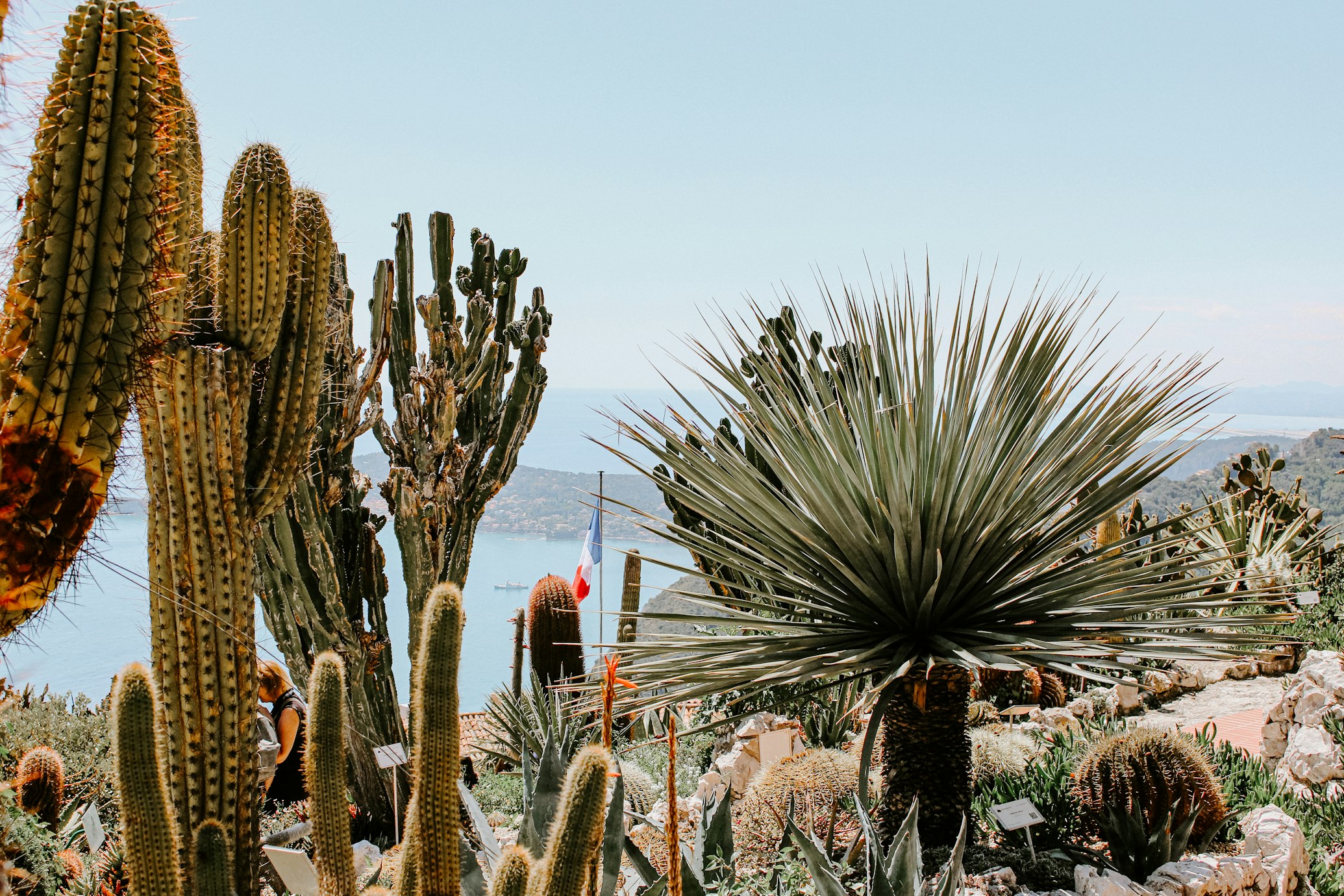 Variedade de cactos e suculentas num jardim com vista para uma paisagem costeira de mar e céu azuis, em Èze.