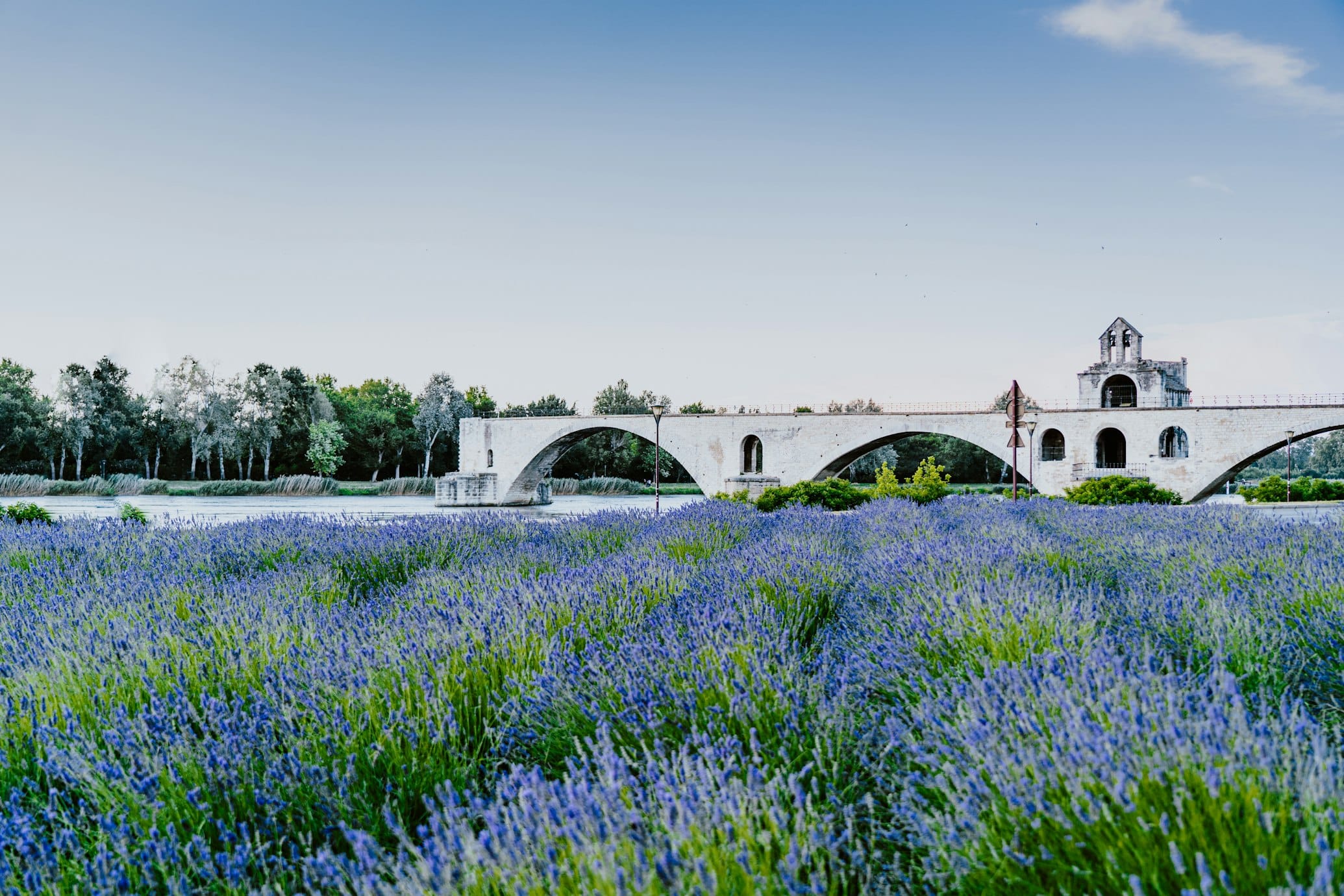 Ponte de pedra sobre um rio, com campos de lavanda em flor em primeiro plano, em Avinhão.