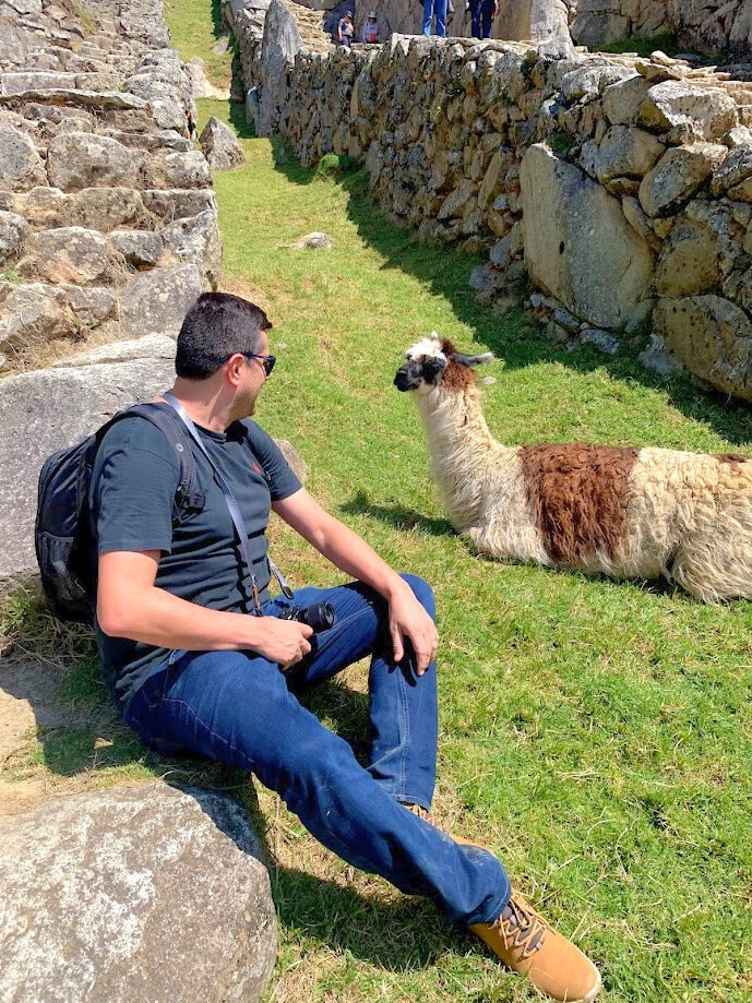 Visitante sentado sobre pedras de granito de Machu Picchu, ao lado de uma lhama deitada na relva