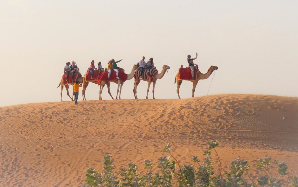 Pessoas a andar de camelo sobre uma duna de areia num cenário de deserto, algumas a tirar fotografias.