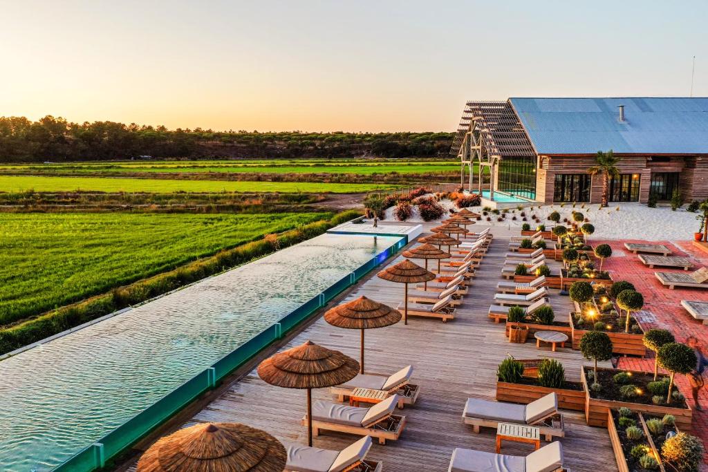 Piscina de borda infinita com vista para campo verde e palmeiras na Quinta da Comporta - Wellness Boutique Resort